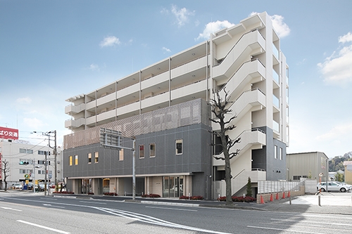 �ץ쥵�������һ�